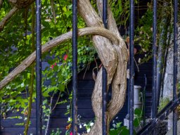 Fotowalk Stadt Salzburg